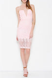 Blush Fiza Dress