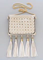 Nazaneen Metalic Tassel Handbag